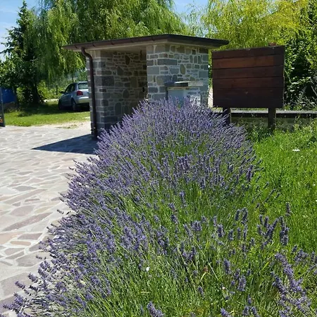 Acquapartita Apartment